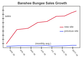 Banshee Bungee Sales Growth
